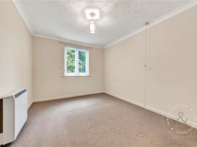 Picture 7
